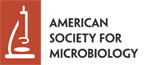 ASM Journals Resources